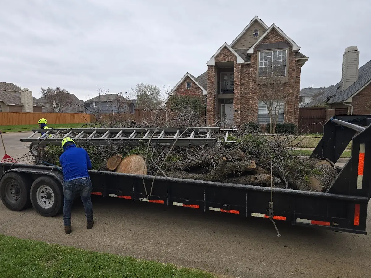 Expert Tree Fertilization with proper safety equipment in Vicksburg